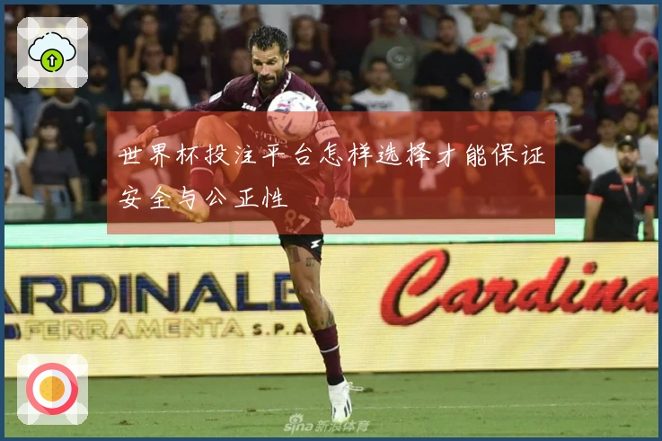 世界杯投注平台怎样选择才能保证安全与公正性