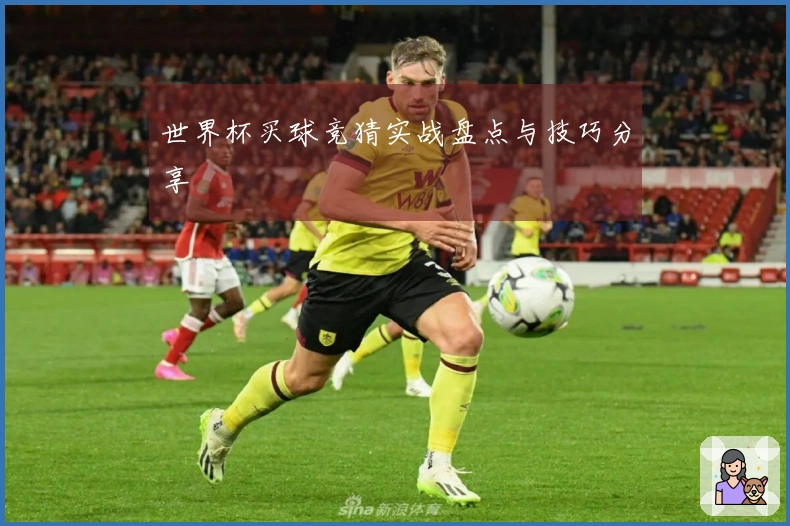 世界杯买球竞猜实战盘点与技巧分享