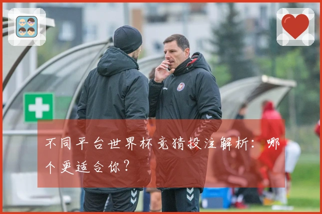 不同平台世界杯竞猜投注解析：哪个更适合你？
