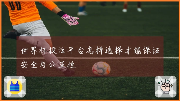 世界杯投注平台怎样选择才能保证安全与公正性