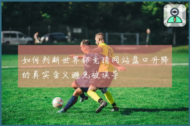 如何判断世界杯竞猜网站盘口升降的真实含义避免被误导