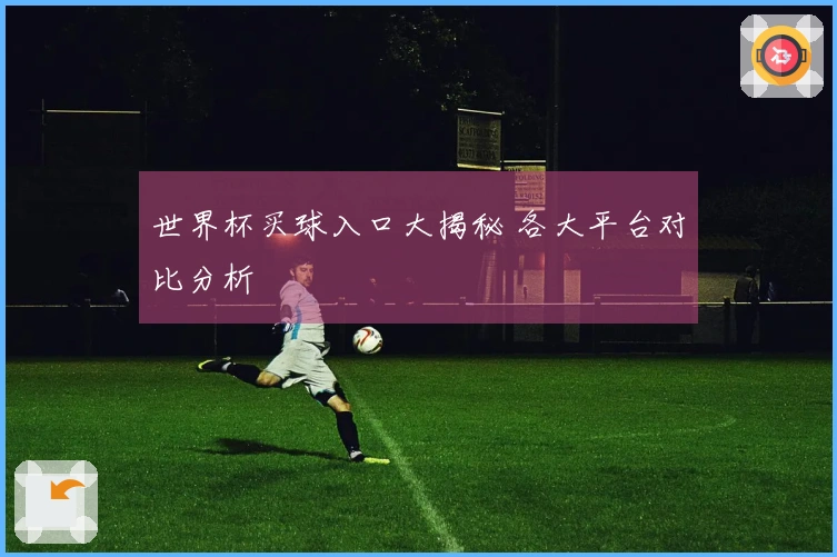 世界杯买球入口大揭秘 各大平台对比分析