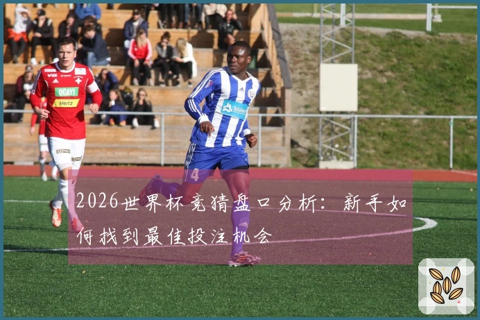 2026世界杯竞猜盘口分析：新手如何找到最佳投注机会