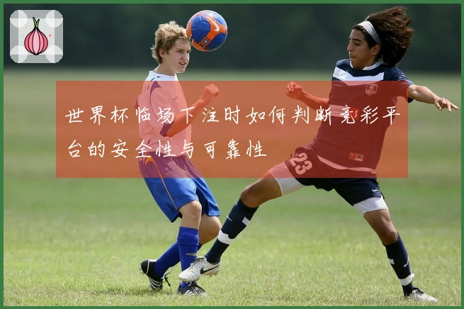 世界杯临场下注时如何判断竞彩平台的安全性与可靠性