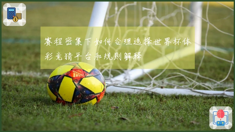 赛程密集下如何合理选择世界杯体彩竞猜平台和规则解释