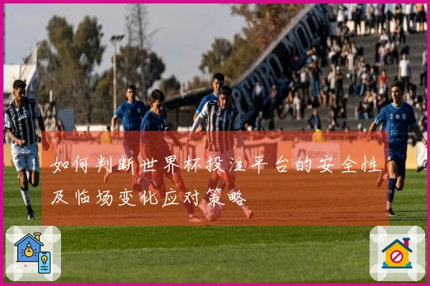 如何判断世界杯投注平台的安全性及临场变化应对策略