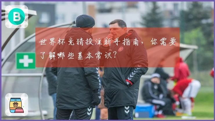 世界杯竞猜投注新手指南，你需要了解哪些基本常识？
