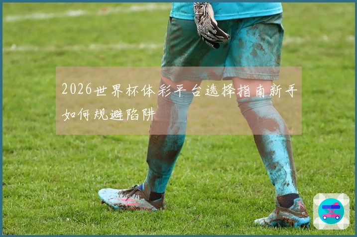 2026世界杯体彩平台选择指南新手如何规避陷阱