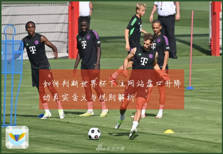 如何判断世界杯下注网站盘口升降的真实含义与规则解析