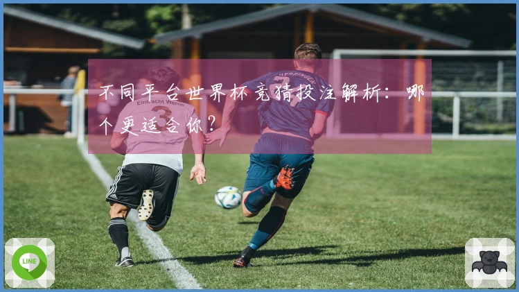 不同平台世界杯竞猜投注解析：哪个更适合你？