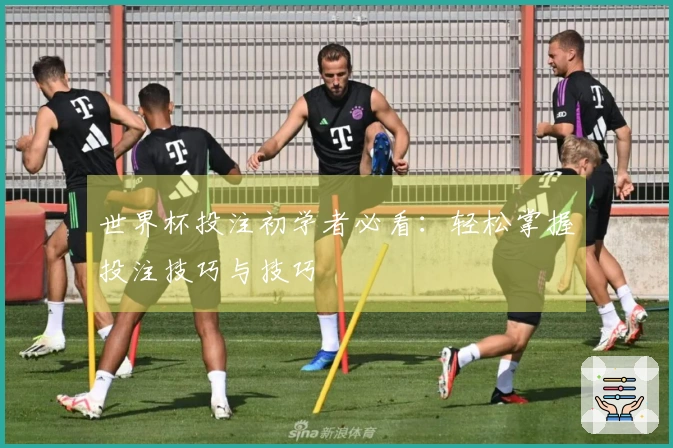世界杯投注初学者必看：轻松掌握投注技巧与技巧
