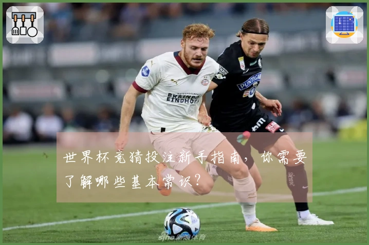 世界杯竞猜投注新手指南，你需要了解哪些基本常识？