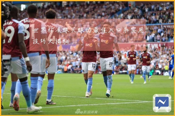 世界杯滚球买球的最佳入口和实用技巧大揭秘