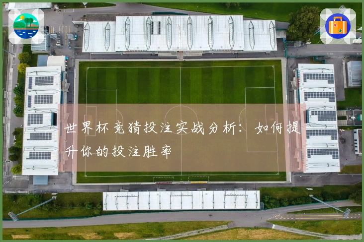 世界杯竞猜投注实战分析：如何提升你的投注胜率