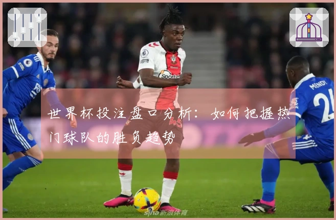 世界杯投注盘口分析：如何把握热门球队的胜负趋势