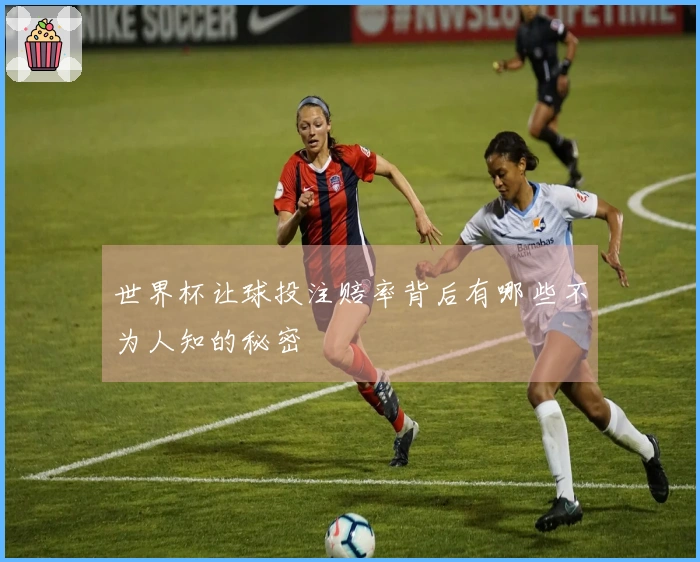 世界杯让球投注赔率背后有哪些不为人知的秘密