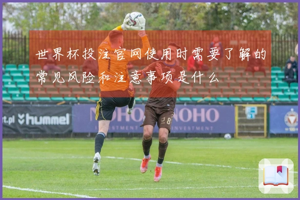 世界杯投注官网使用时需要了解的常见风险和注意事项是什么