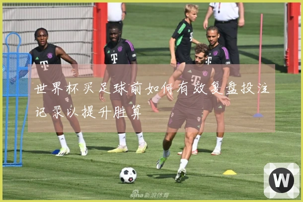 世界杯买足球前如何有效复盘投注记录以提升胜算