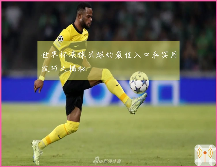 世界杯滚球买球的最佳入口和实用技巧大揭秘