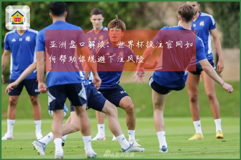 亚洲盘口解读：世界杯投注官网如何帮助你规避下注风险