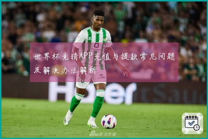 世界杯竞猜APP充值与提款常见问题及解决办法解析