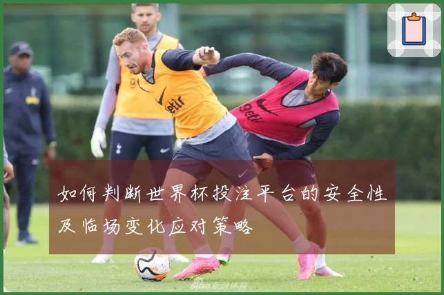 如何判断世界杯投注平台的安全性及临场变化应对策略