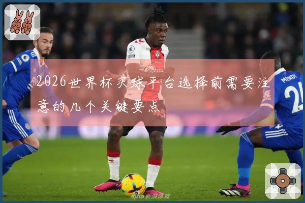 2026世界杯买球平台选择前需要注意的几个关键要点