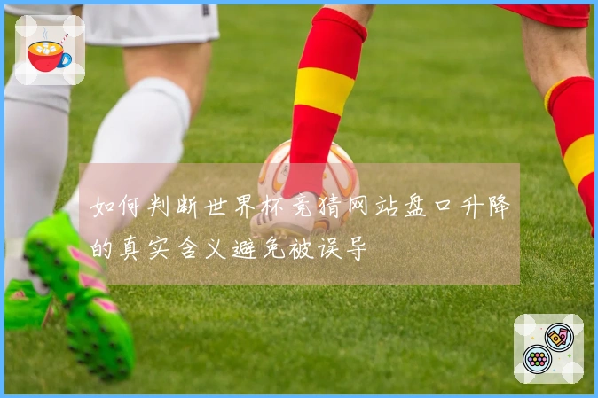 如何判断世界杯竞猜网站盘口升降的真实含义避免被误导