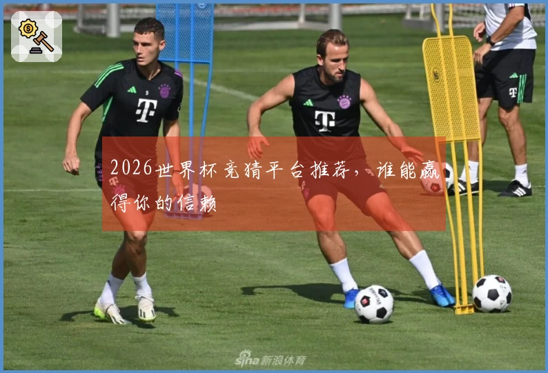 2026世界杯竞猜平台推荐，谁能赢得你的信赖