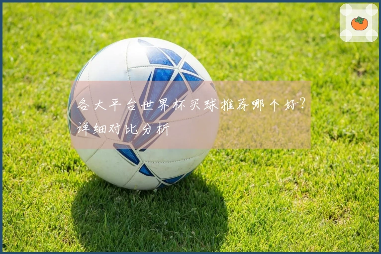 各大平台世界杯买球推荐哪个好？详细对比分析